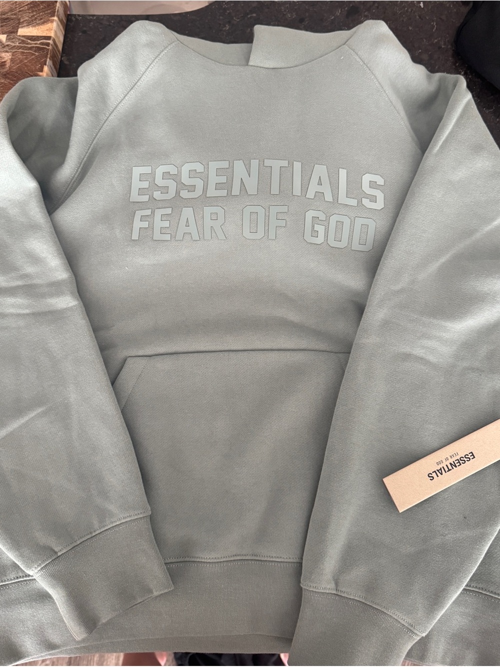 Essentials Pullover Hoodie in Sage